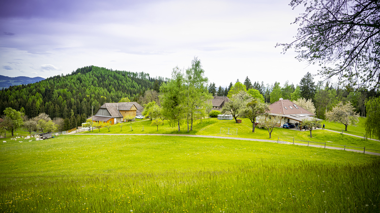 Der Gipflerhof in Guttaring am Hollersberg im Kärntner Görtschitztal © Wirlphoto