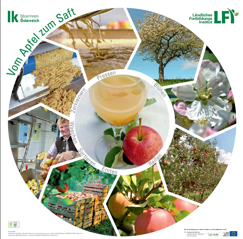 Legekreis-Plakat "Vom Apfel zum Saft"