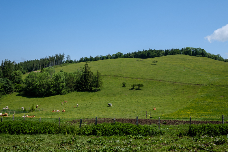 LFI-FARMINAR-HIMMELALM 2019-06-07 002  P9T2037 (c)Gerald PFABIGAN.jpg