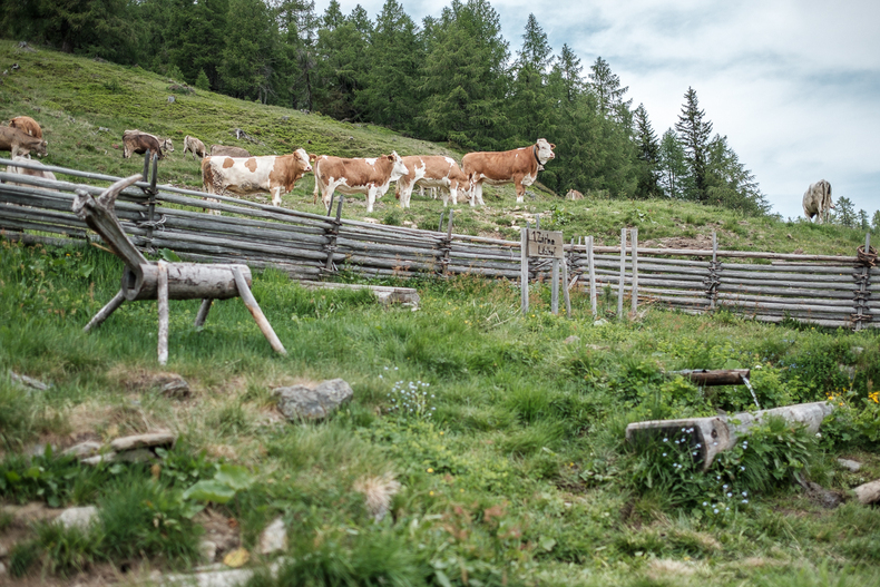 LFI-FARMINAR-LITZLHOFALM 2019-06-19 016  P9T2228 (c)Gerald PFABIGAN.jpg