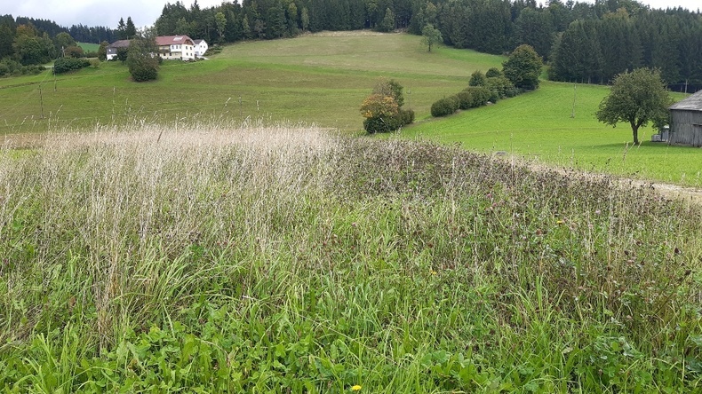 kleine Strukturen schaffen.jpg