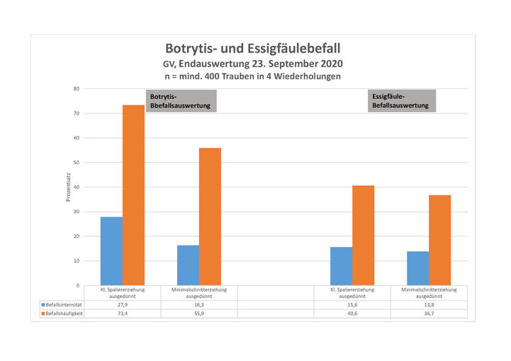 Krankheitsbefall_2020.jpg © Weinbauschule Krems Krankheitsbefall_2020.jpg © Weinbauschule Krems