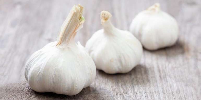 Knoblauch.jpg © Gerald Lechner/LK Niederösterreich