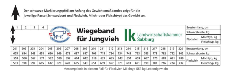 Schätzt du noch oder misst du schon?.png © Archiv