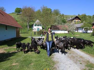 Julia Elpons vom Bioschafhof Elpons © Elpons