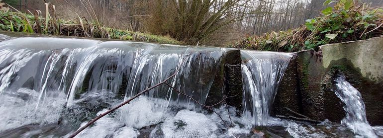kleiner Bach.jpg © BWSB/Wallner