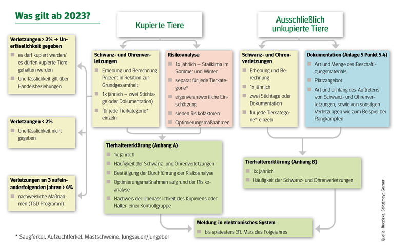Grafik_Kupieren_Was gilt ab 2023.jpg © LK Niederösterreich
