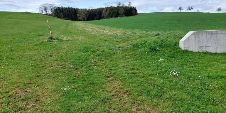 Begrünter_Abflussweg.jpg © BWSB/Wallner