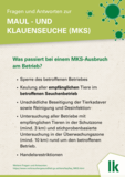 4_Ausbruch.png © LK Niederösterreich