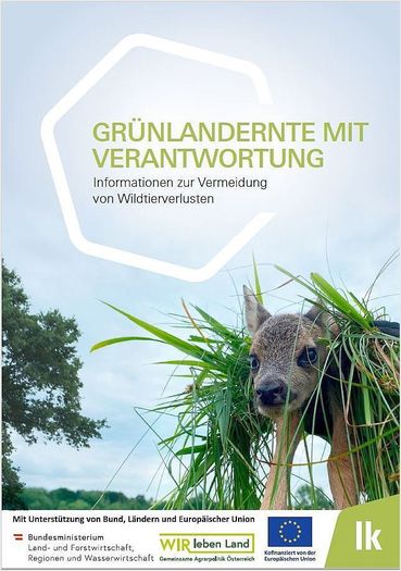 Grünlandernte mit Verantwortung.jpg © LK OÖ