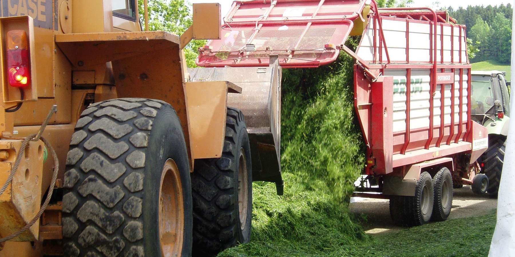 GS Verdichtung Egge_ Silieren_Silageprojekt.jpg © LK Kärnten/Egger