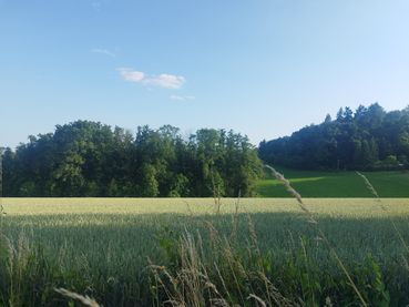 Steuerrecht.jpg © Landwirtschaftskammer Oberösterreich/Jell-Anreiter